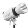 Luz LED Litemons LA300R