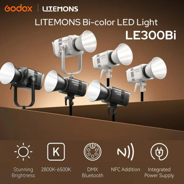 Luz LED bi-color Godox Litemons LE300BI